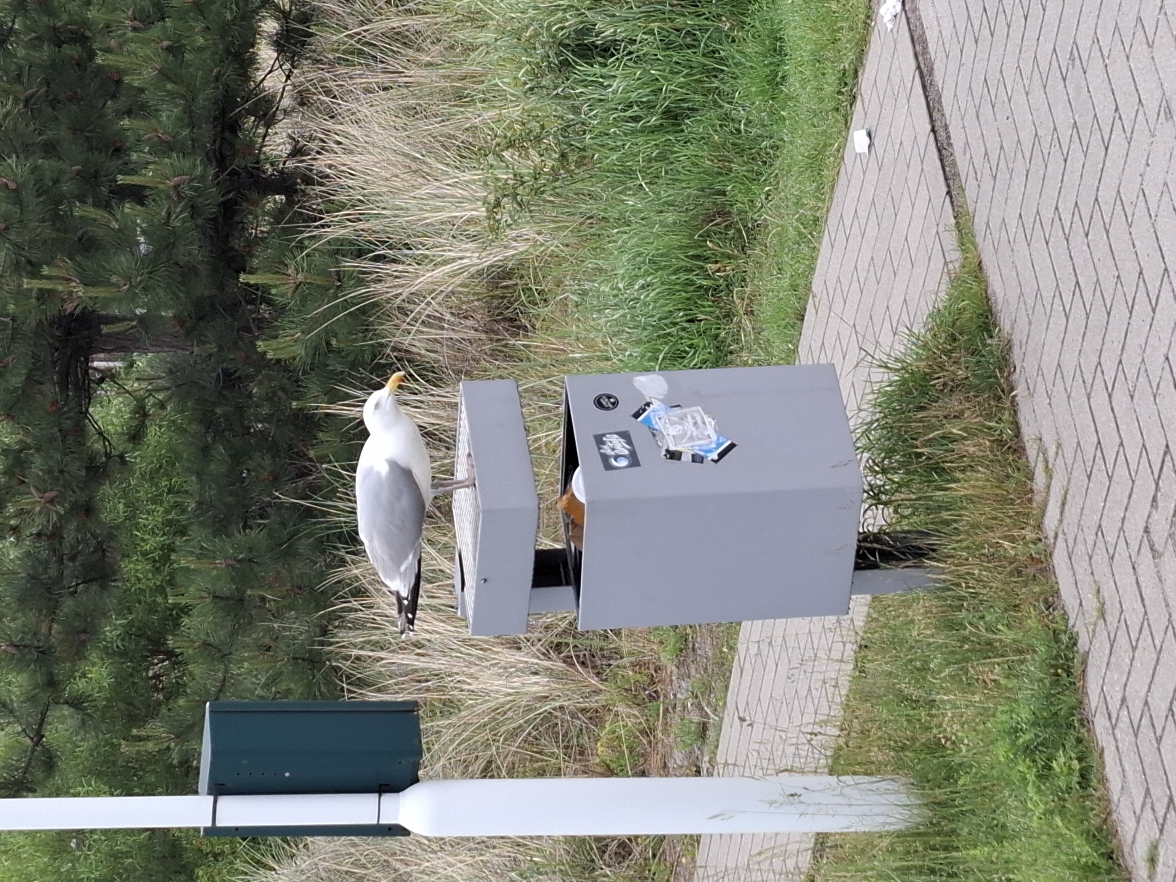 Bild von Urlaub Chef-Etage