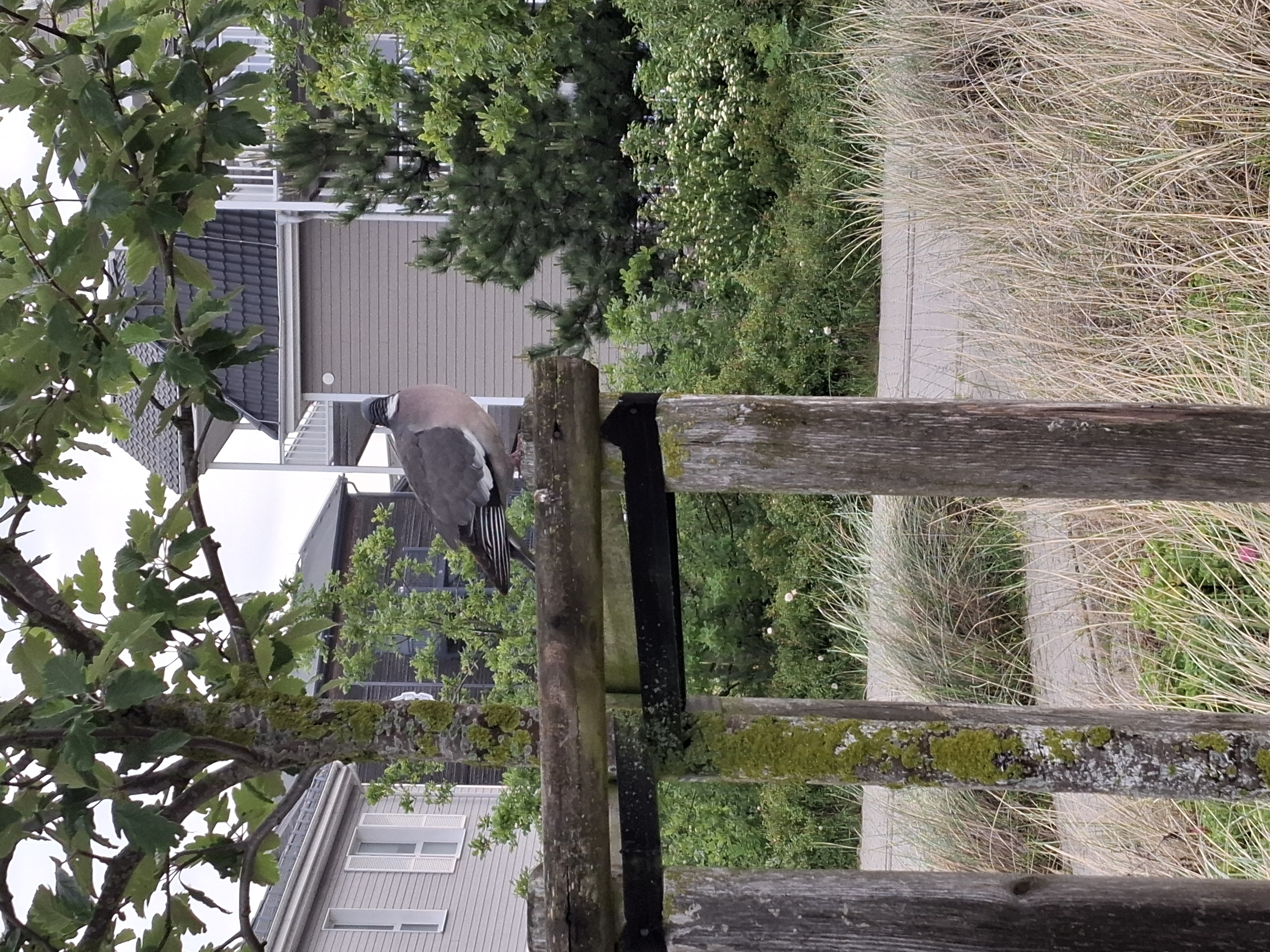 Bild von Urlaub Chef-Etage