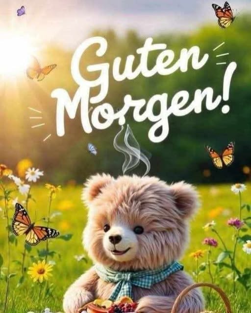 Sendung Bild