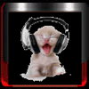 User Bild